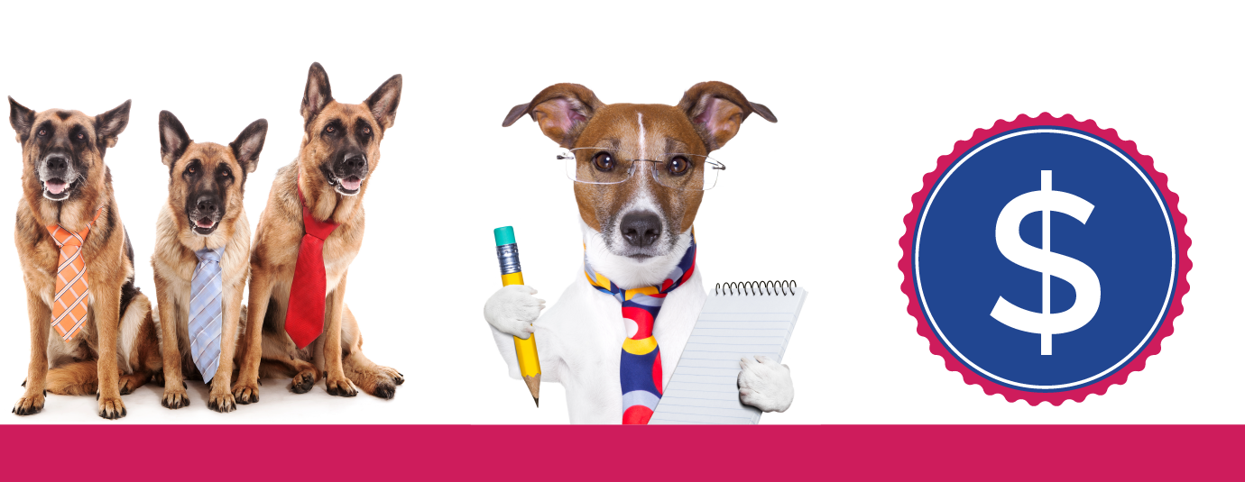 5 Must Breakthroughs for Low Cost Pet Franchises