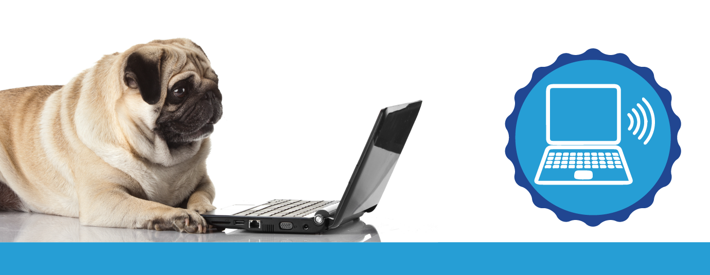 5 Trends Pet Store Franchises Should Pay Attention to