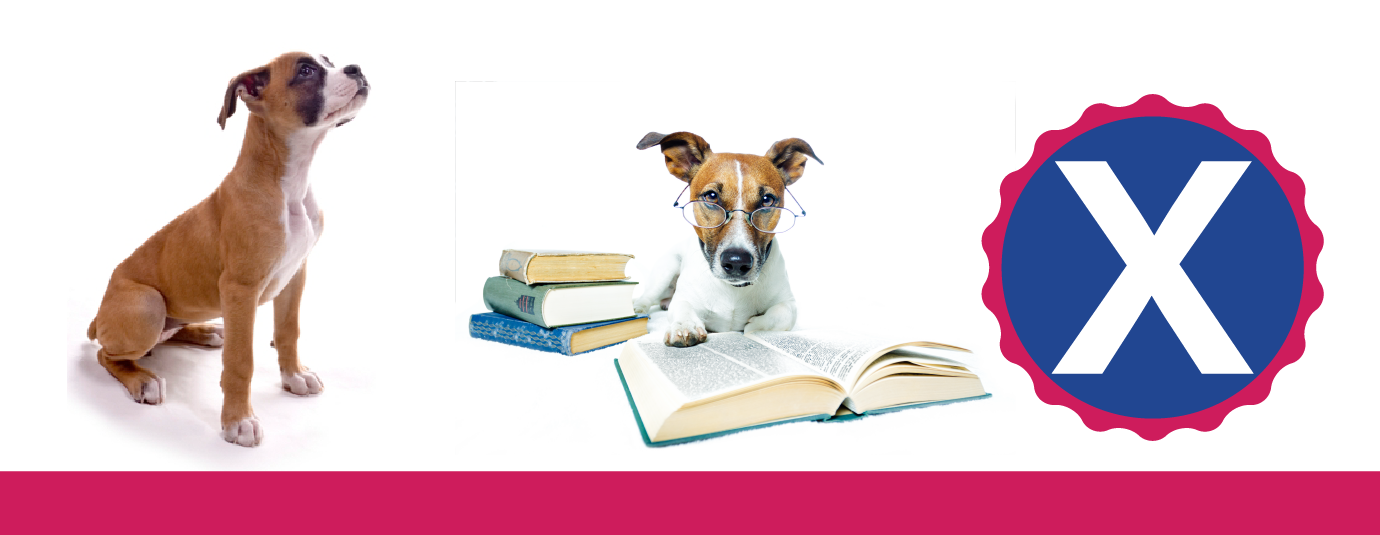 Dangerous Beliefs That Could Ruin Your Pet Food Franchise