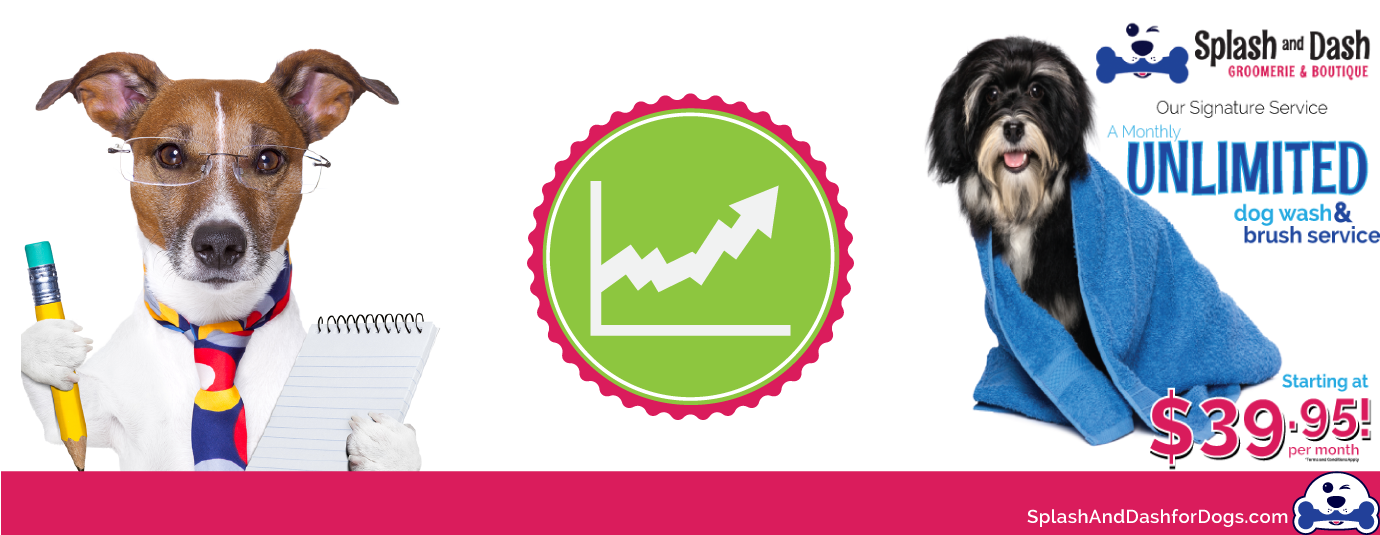 Best Cheap Franchise Opportunities in 2015