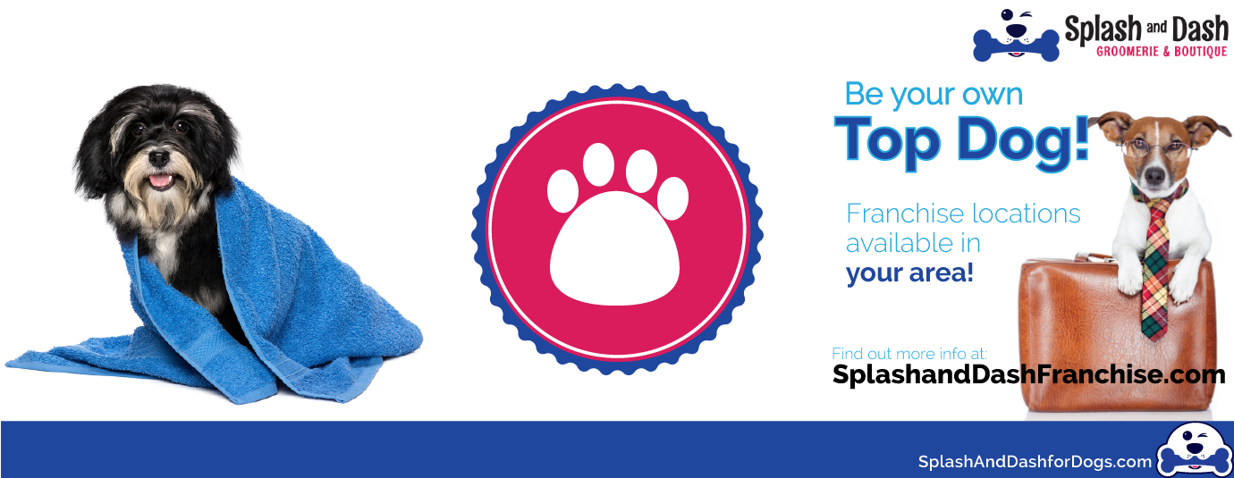 Why a Pet Grooming Franchise and Splash and Dash