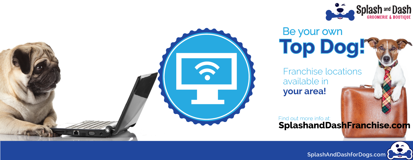 How to Successfully Promote Your Pet Store Franchise Online