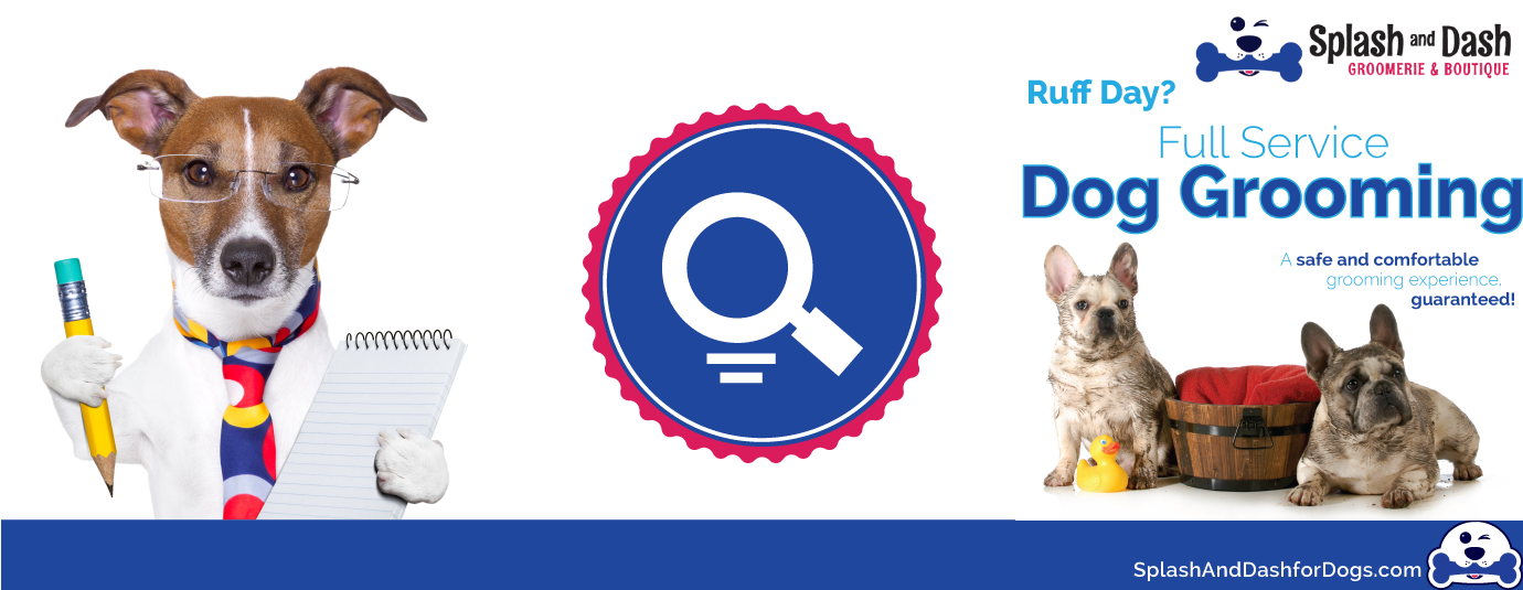 Get More Success with Your Pet Store Franchise