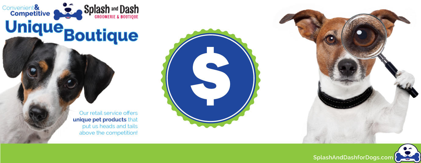 View of Pet Grooming Franchise- 6 Benefits You Need to Know