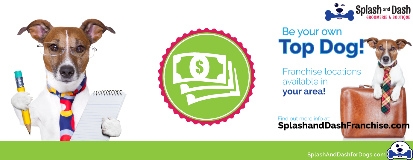 Low Cost Pet Grooming Franchise in Baldwin County Alabama