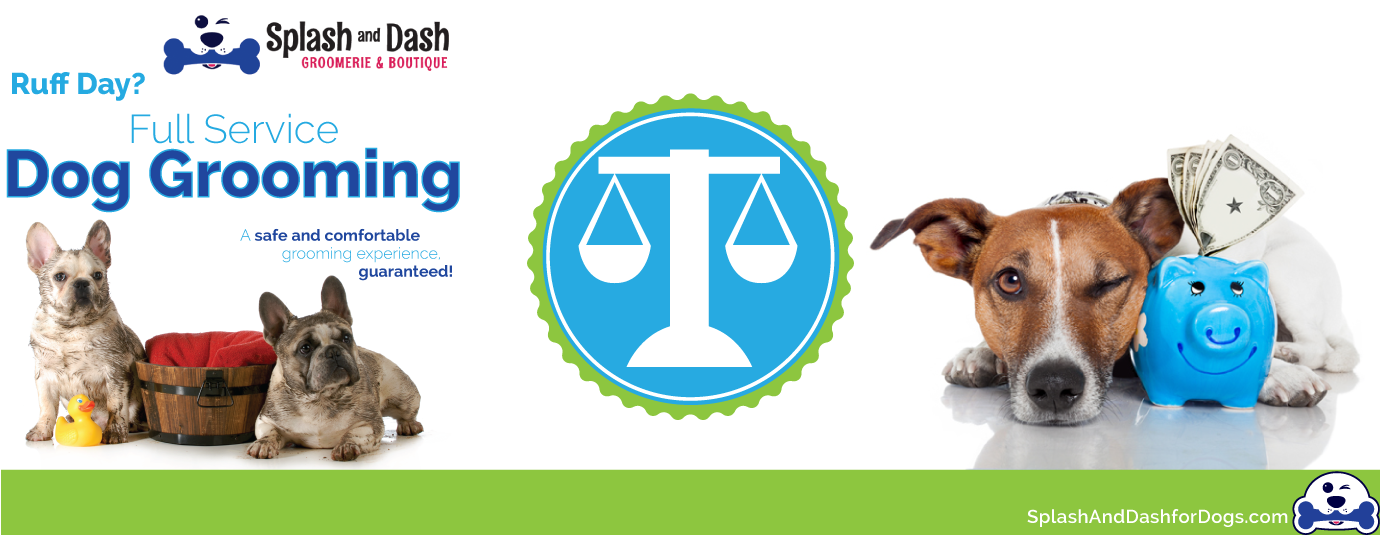 5 Tips to Grow a Pet Grooming Franchise