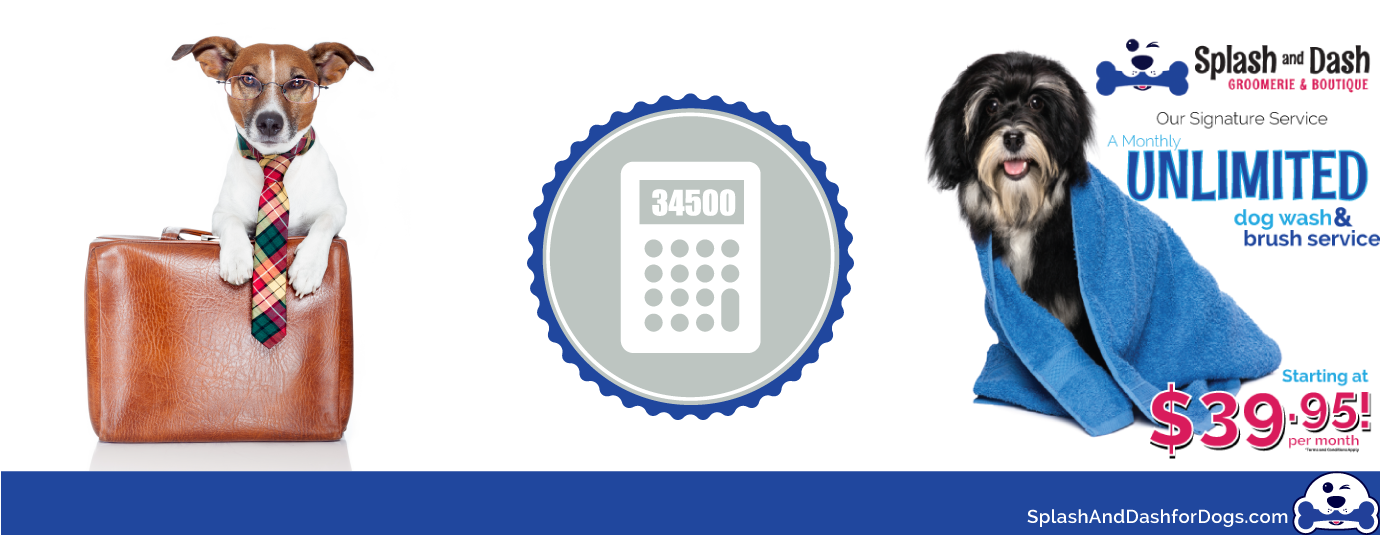 Best Pet Franchises for 2015 Review