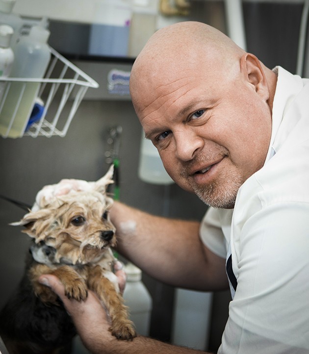 dog grooming franchise makes it big