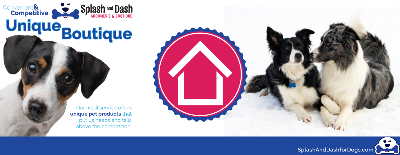 How Networking Affects Your Pet Grooming Franchise