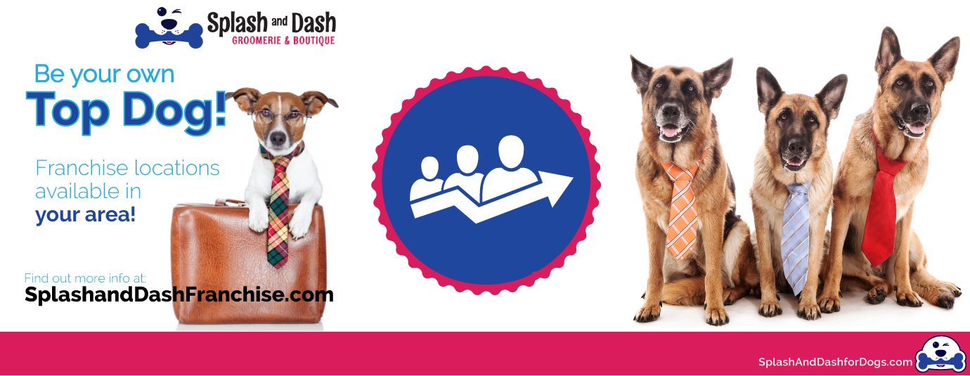 Are Pet Franchises Great Business Opportunities?