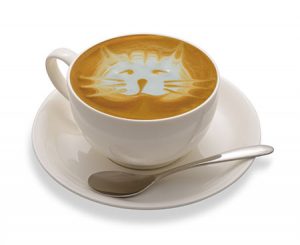 cat caffee