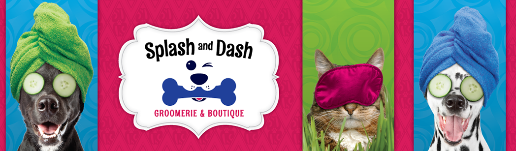 Splash and Dash Groomerie & Boutique Header